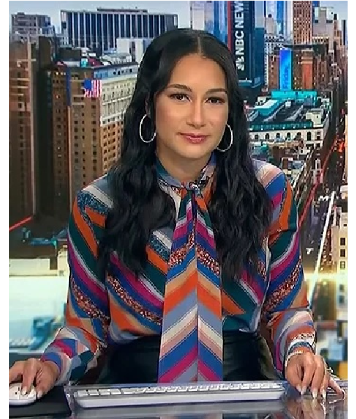 NBC News Daily 2025 Morgan Radford Multicolor Tie Neck Blouse