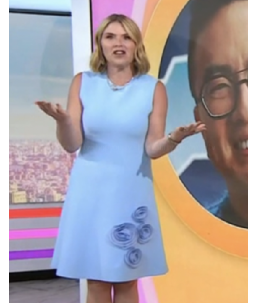 The Today Show 2025 Jenna Bush Hager Light Blue Rose Appliqué Knit Dress