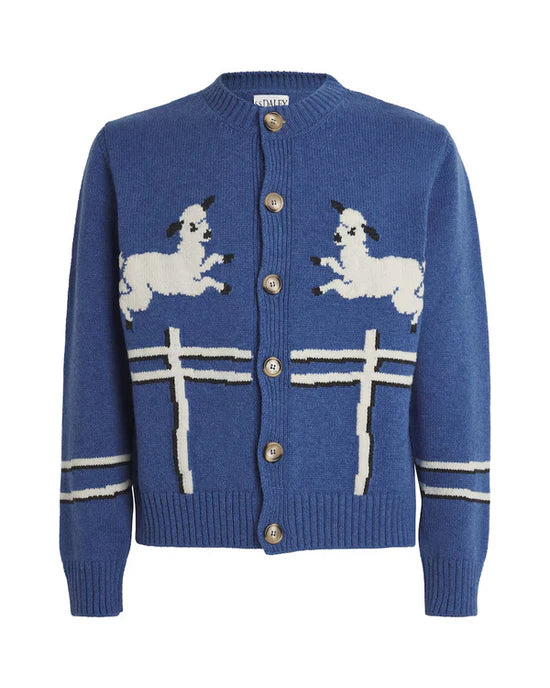 Drew-Barrymore-Show-2025-Will-Taylor-Blue-Sheep-Cardigan